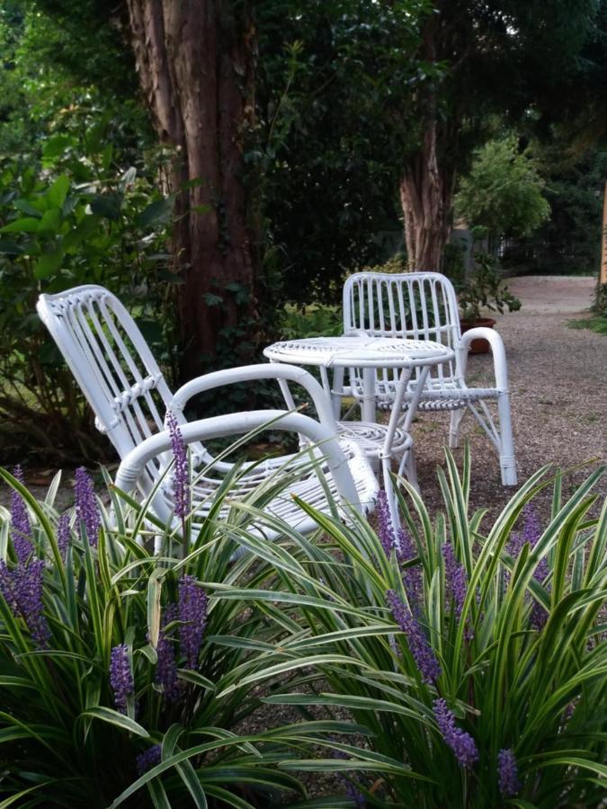 Casorate Sempione B&B Il Cortile Malpensa المظهر الخارجي الصورة