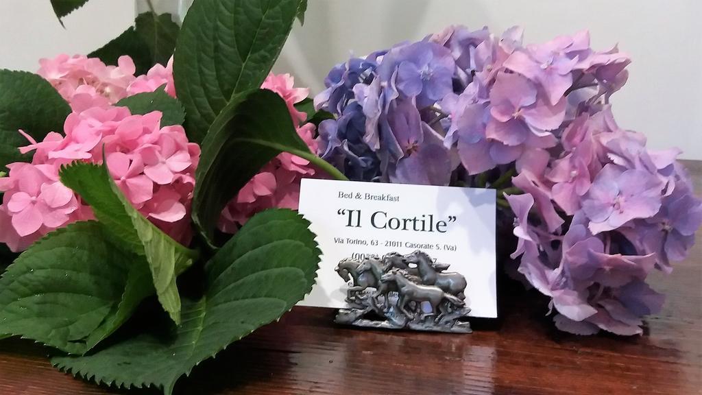 Casorate Sempione B&B Il Cortile Malpensa المظهر الخارجي الصورة