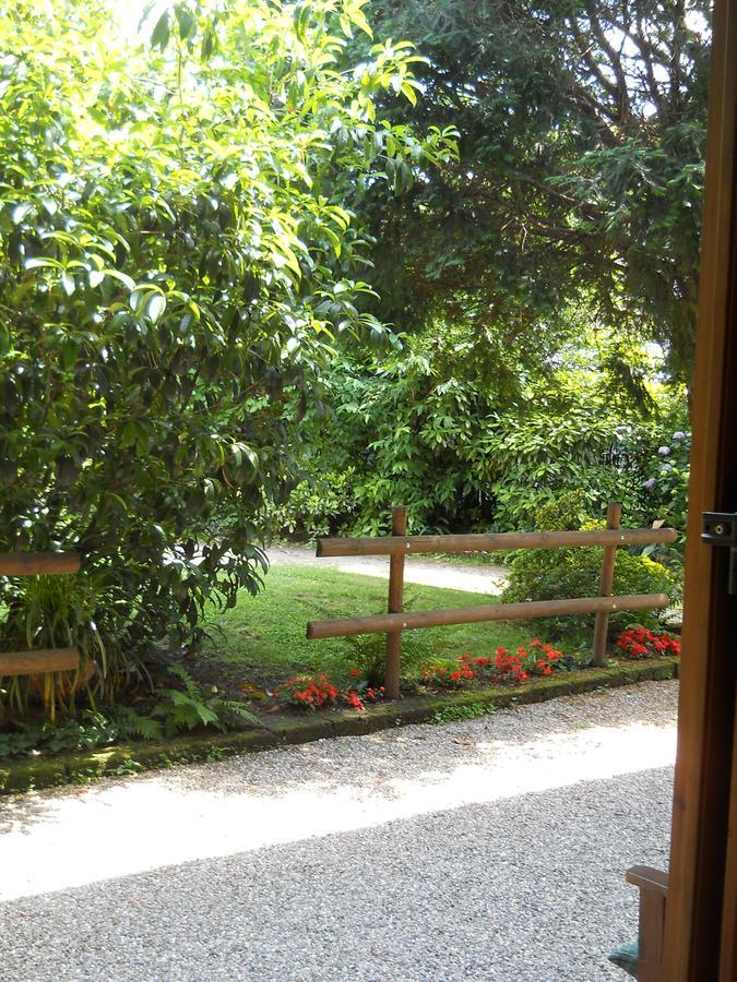 Casorate Sempione B&B Il Cortile Malpensa المظهر الخارجي الصورة